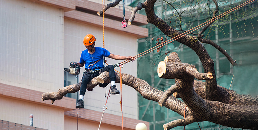 disaster-cleanup-prevention